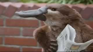 TV Commercial - Lunchables - New Spokesman - Talking Platypus Smoothie Kabobbles TV Commercial - Lunchables - New Spokesman - Talking Platypus Smoothie Kabobbles
