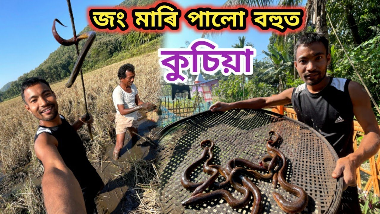 জং মাৰি পালো বহুত কুচিয়া 😍