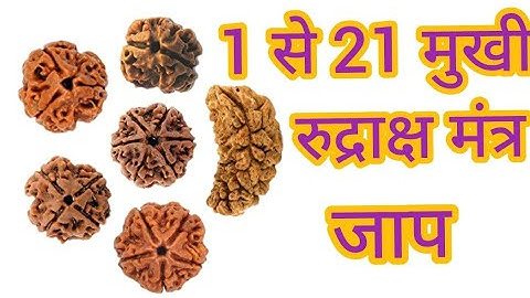 1 से 21 मुखी रुद्राक्ष मंत्र जाप