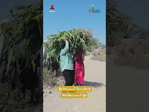 ورطة المذيع مع الفلاحة | رحلة حظ