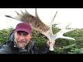 Gripping Moose Antlers &amp; photographing Woodland Caribou!