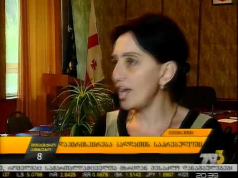 დაპირისპირება ბაღდათის საკრებულოში