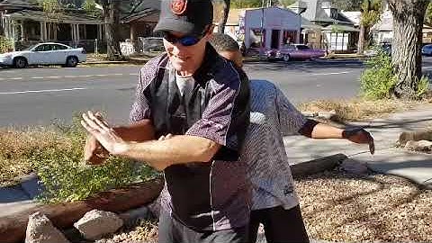 Baguazhang Thunder palm application by Sifu Martin Kelly of Self-Care Arts