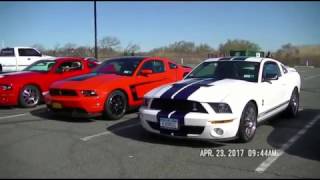 MUSTANG SHELBY CLUB Spring Dustoff Cruise