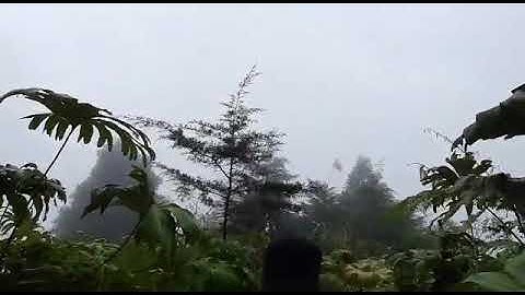 Mt. Bismo Deroduwur, wonosobo