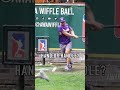 Is This a Hit or a Strikeout?🤔 #dingersornothing #wiffleball #baseball #shorts