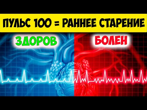 ВАЖНО! Как Частота Пульса Влияет на Продолжительность жизни. У кого пульс высокий пульс...