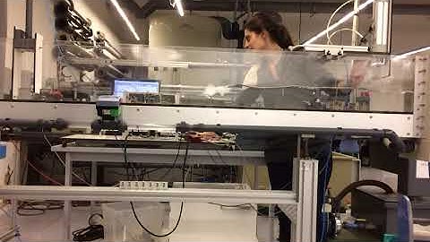 Experimento - Columna Oscilante de Agua (OWC)