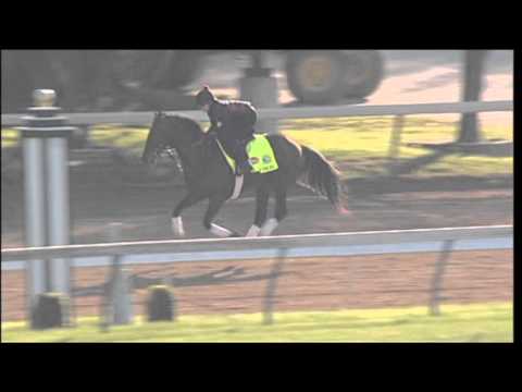 downs sims Orb gallops at Churchill Downs 4.26.13