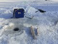26 декабря  2022. Рыбалка в приморском крае. Ленок. хороший день на реке!