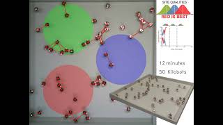 When less is more: Robot swarms adapt better to changes with constrained communication