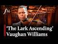 Vaughan Williams’ The Lark Ascending - Nathan Amaral | Classic FM