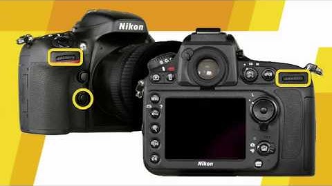 Nikon D800 Beyond the Basics Training