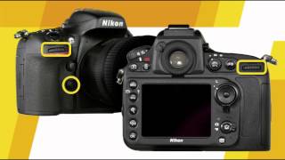 Nikon D800 Beyond the Basics Training