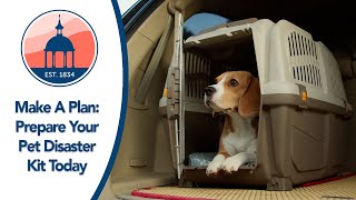 How to Pack an Evacuation Kit for Your Pet