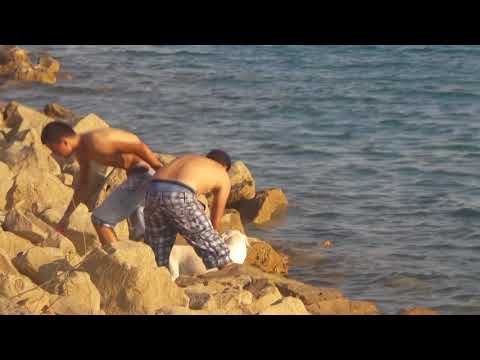 ეკოლოგიურ-სოციალურ თემებზე გადაღებული ვიდეოების კონკურსი