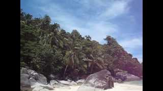 Tioman Island Salang Beach