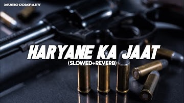 HARYANE KA JAAT RE (slowed+reverb) LOFI remix #trending music company