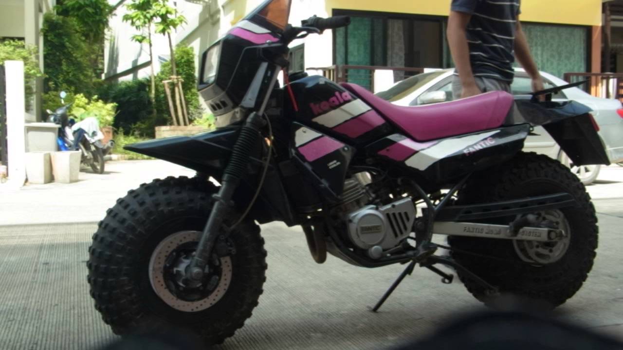 FANTIC KOALA bangkok,Thailand YouTube