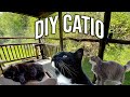 BUILDING A DIY "CATIO" FOR OUR CATS!