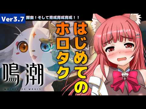 【#鳴潮 Ver3.7】はじめてのホロタクティクスそして探索：朝月会最終日【リーエ香澄 ＃鳴潮朝月会 】