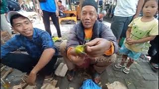 Ramai Murah Sekali Pasar Burung DI siniiii 😯