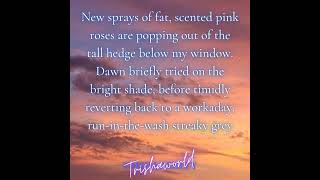 Good morning from Trishaworld 977!