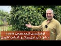 فیلم کاملش اینجاست بزن روش ببین 