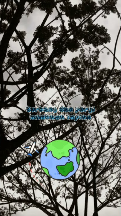 Lirik Pesawat Kertas 365 Hari - cover by Reinhard Royandi #pesawatkertas365hari #fypシ #tiktok