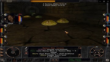 Wizardry 8 – Rampage Challenge 02 - When Sleep Backfires