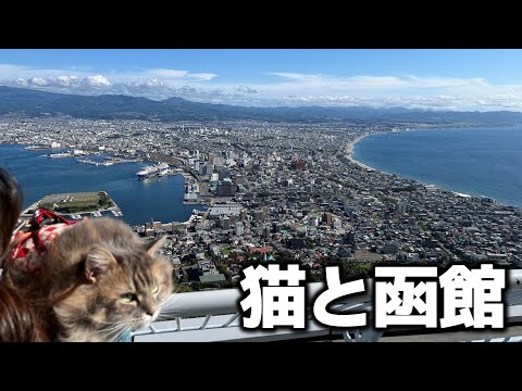 【北海道】函館の人気観光スポット巡りと絶品グルメを満喫！【道南ドライブ】