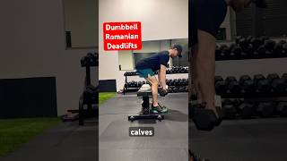 Dumbbell RDL for Beginners – Hinge Drill with Bench Feedback