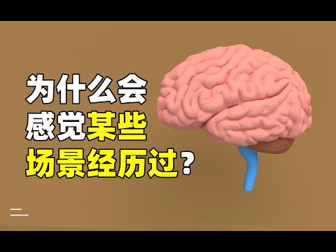 为什么会感觉某些场景经历过？|Why do you feel that certain scenes have been experienced?