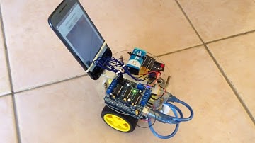 Obstacle Avoidance Vision Based Robot