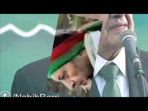 يا بري اسمك عنوان للوحدة الوطنية