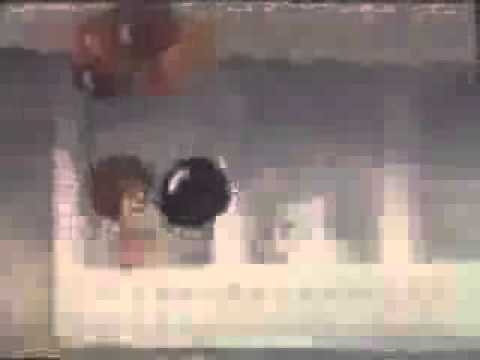 თოვლის გუნდა