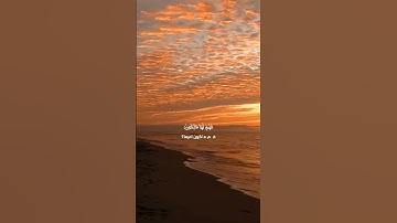 سورة يس(٧١)(٧٢)(٧٣)|اكتب شئ تؤجر عليه #القرآن_الكريم #اللهم_صل_على_محمد_وال_محمد #foryou #viral