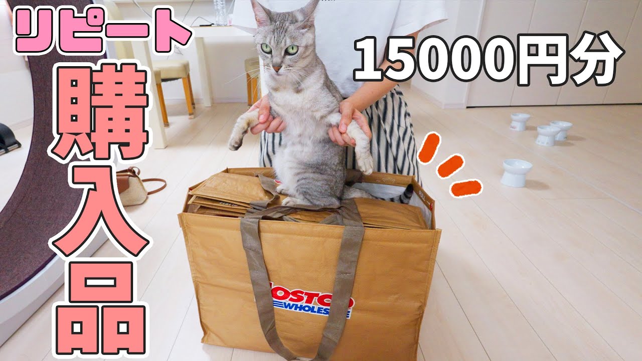 コストコでリピートしてる商品だけを購入して仕分けます！