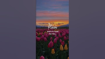 وعسى ان تكرهوا شيئا وهو خير لكم | قران كريم | محمد هشام | راحة نفسية | حالات واتس #راحة_نفسية