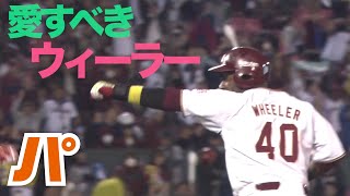 元気にリアクション‼︎ 愛すべきウィーラーの魅力