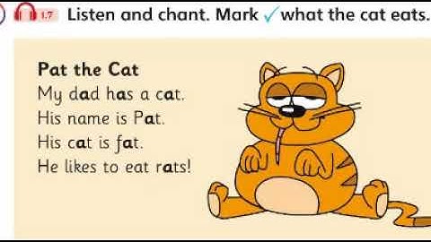 Primary Path 1 unit 1A Phonics Chant