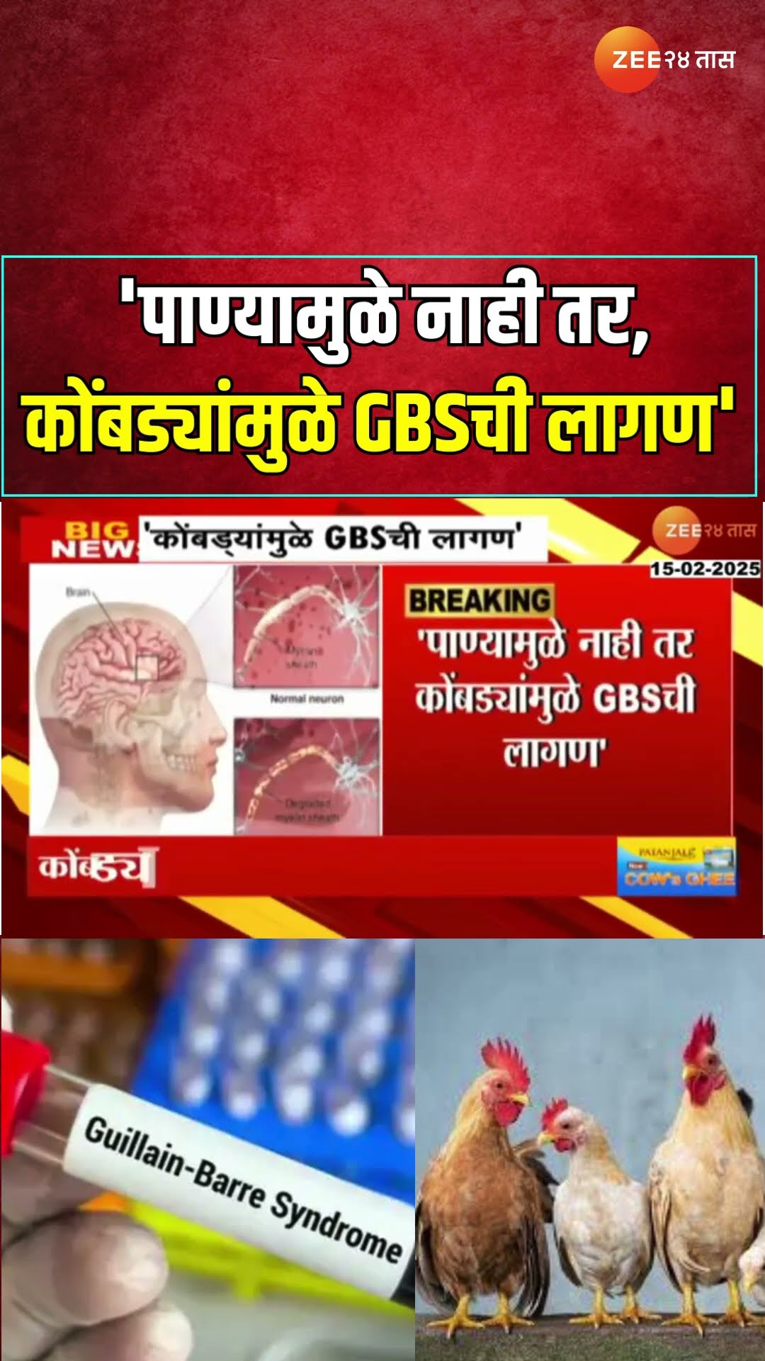 Ajit pawar On GBS   'पाण्यामुळे नाही तर, कोंबड्यांमुळे GBSची लागण'; उपमुख्यमंत्री पवारांची माहिती