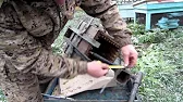 ПАСЕКА ВЛАДИМИРА РЯБУХИНА