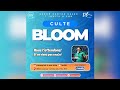 Culte Bloom | CULTE D