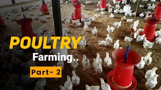 Our Poultry Farm at My Village | Part Two | Mkay Himansu
