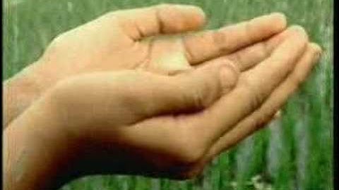 Gombloh ~ Lestari Alamku ( Berita Cuaca )