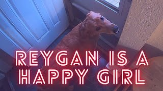 Happy Reygan Day Vlog