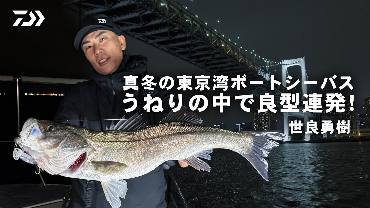 [シーバス] 冬の東京湾ボートシーバス｜メトム・Dジャーク・モンスターウェイクで良型ラッシュ