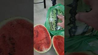 Deep Red Watermelon Cutting লাল টকটকে তরমুজ