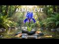 Música para Acalmar a Ansiedade e Renovar as Energias | Instrumental Suave | Alma Leve